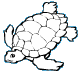 Turtle for Coloring
